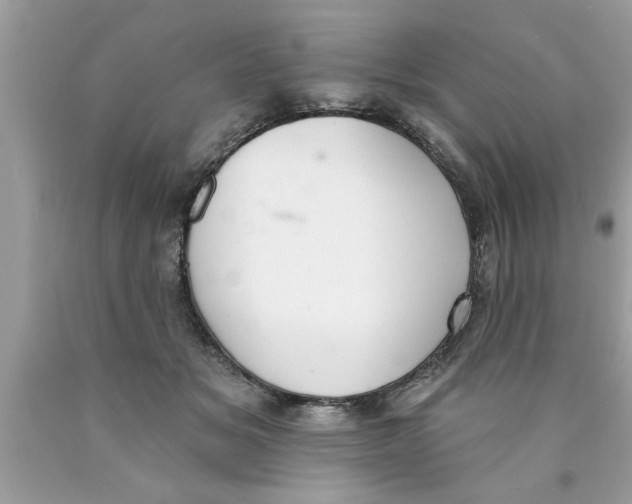 X0000089860509200707262131