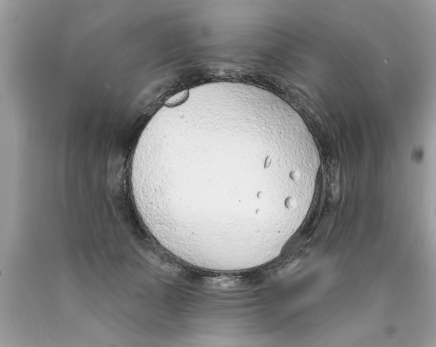 X0000089860511200707262131