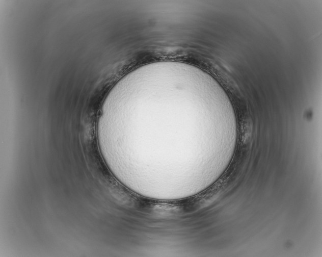 X0000089860515200707262131