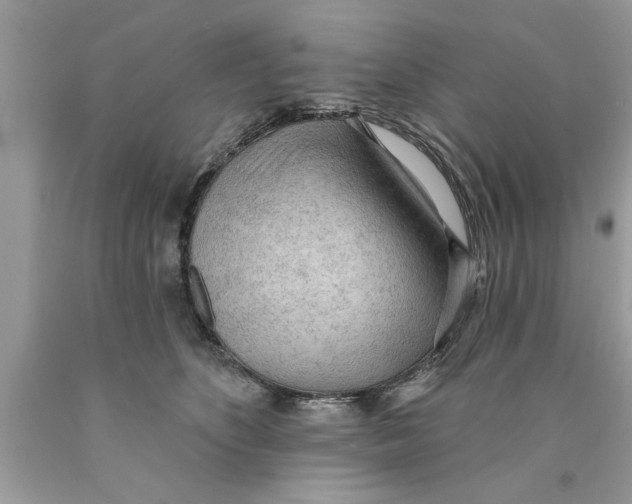 X0000089860516200707262131