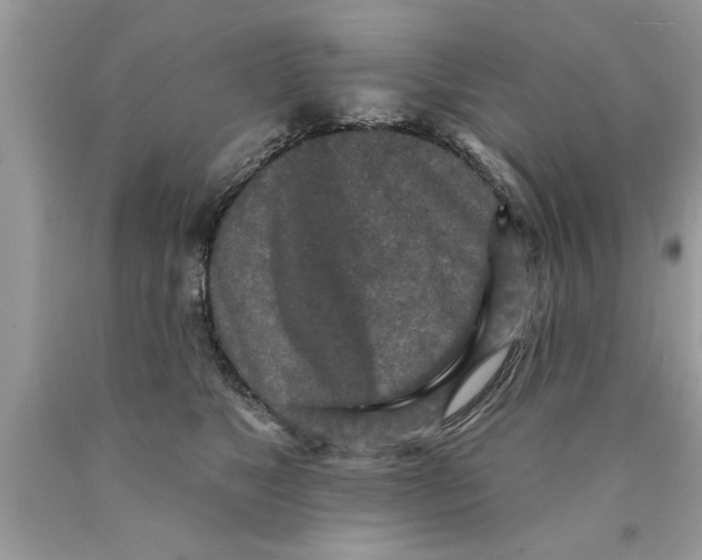 X0000089860517200707262131