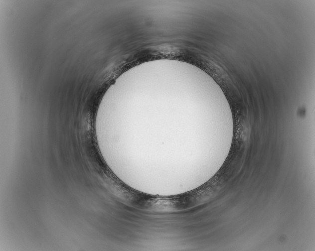 X0000089860518200707262131