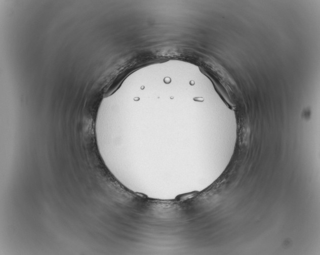 X0000089860521200707262131