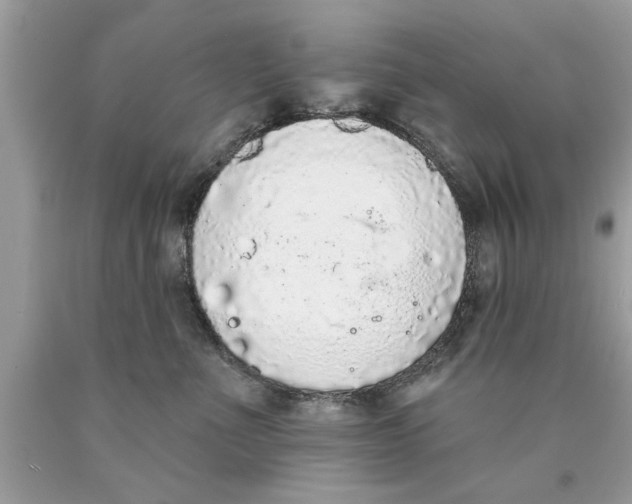 X0000089860523200707262131