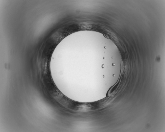 X0000089860525200707262131