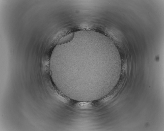 X0000089860526200707262131