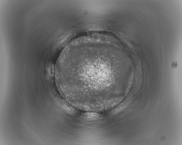 X0000089860528200707262130