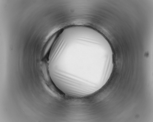 X0000089860530200707262130