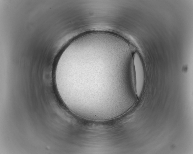 X0000089860531200707262130