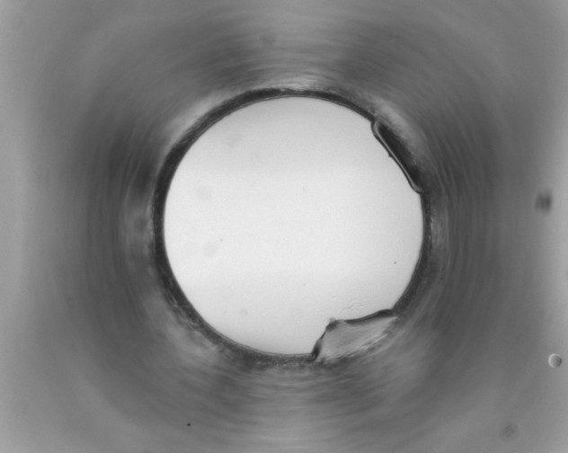 X0000089860532200707262130