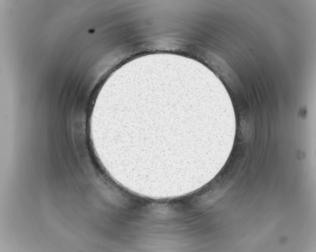 X0000089860534200707262130