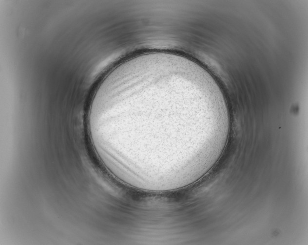 X0000089860535200707262130