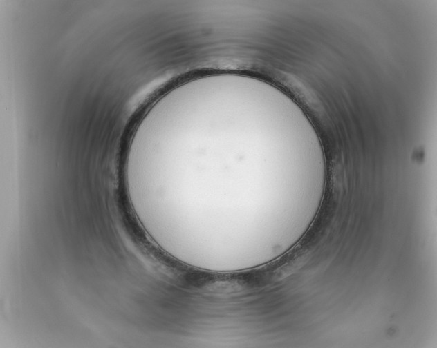 X0000089860536200707262130