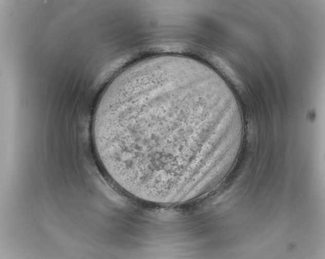X0000089860537200707262130
