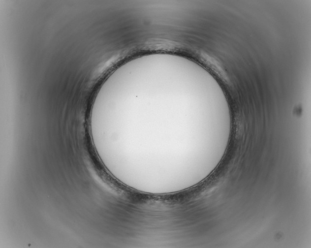 X0000089860538200707262130