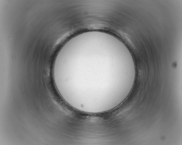 X0000089860539200707262130