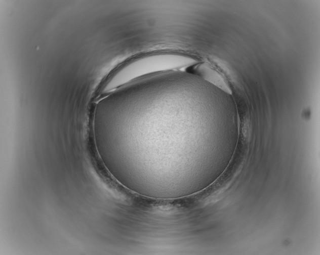 X0000089860540200707262130