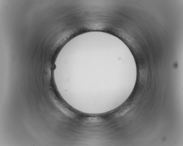 X0000089860541200707262130