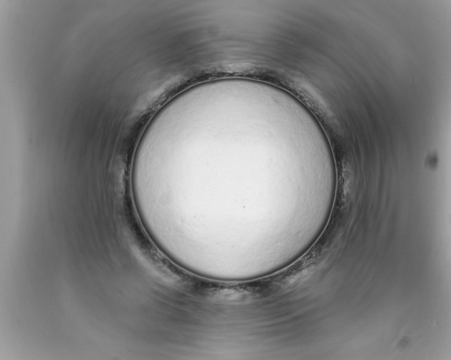 X0000089860542200707262130