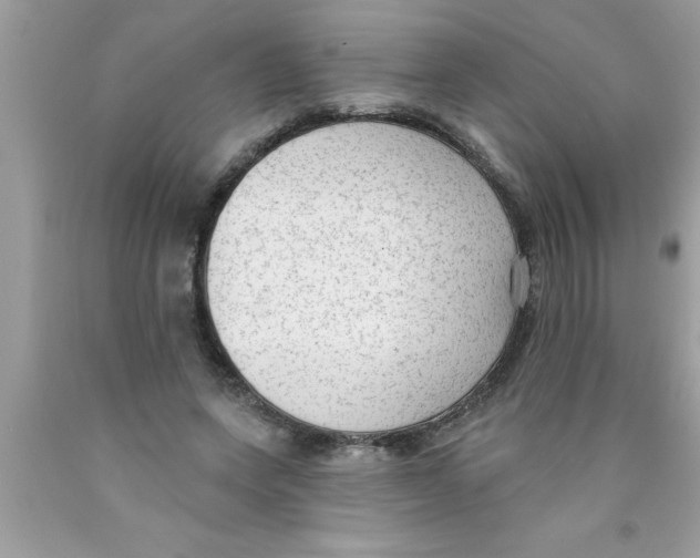 X0000089860543200707262130