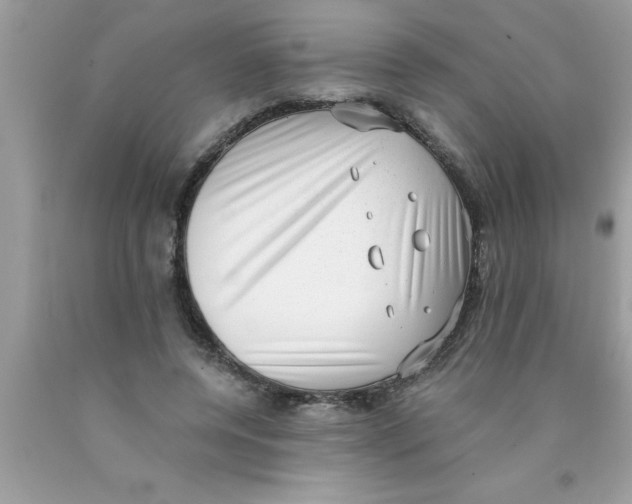 X0000089860544200707262130