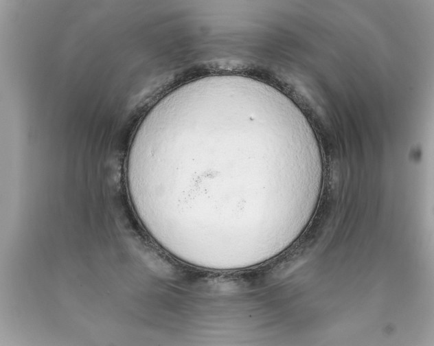 X0000089860545200707262130