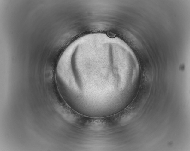 X0000089860546200707262130