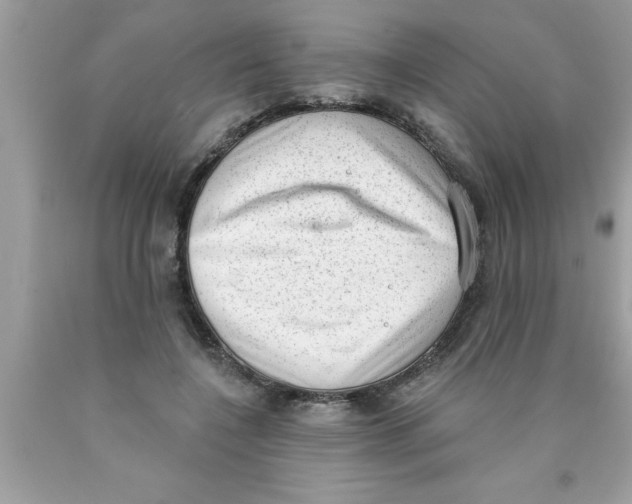 X0000089860548200707262130