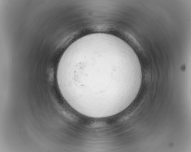 X0000089860549200707262130