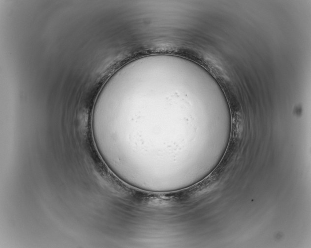 X0000089860550200707262130
