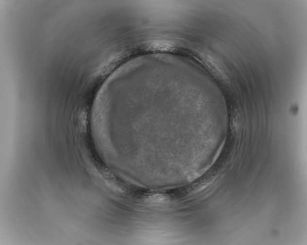 X0000089860551200707262130