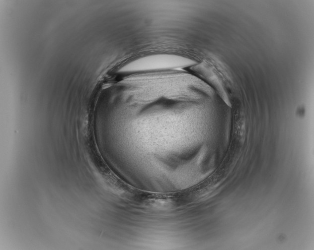 X0000089860552200707262130