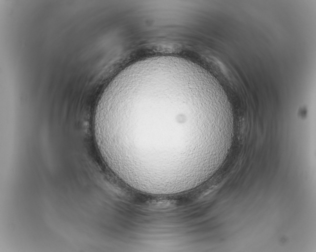 X0000089860553200707262130