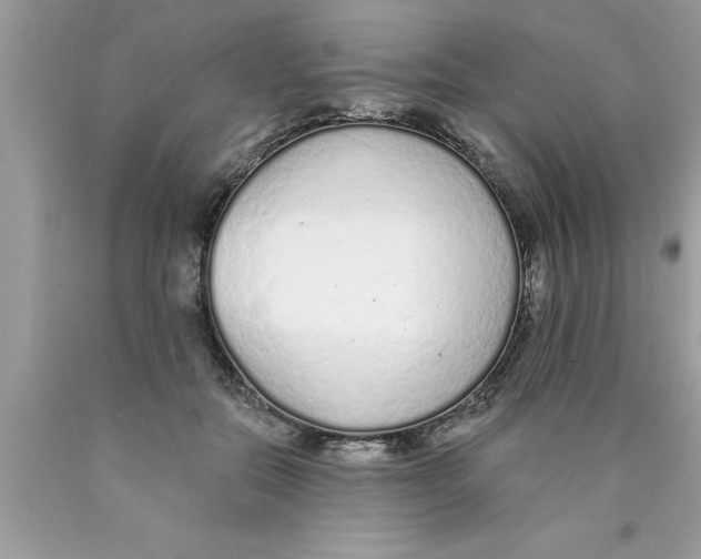 X0000089860554200707262130