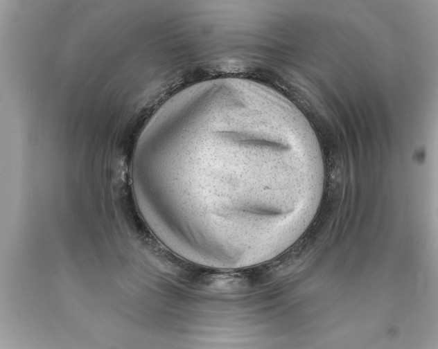 X0000089860555200707262130