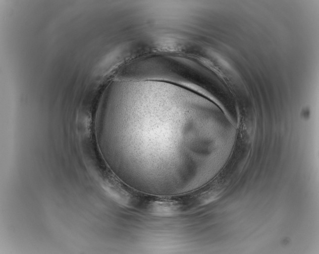 X0000089860556200707262130