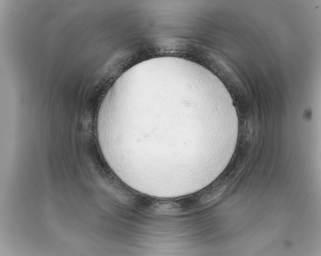 X0000089860557200707262130