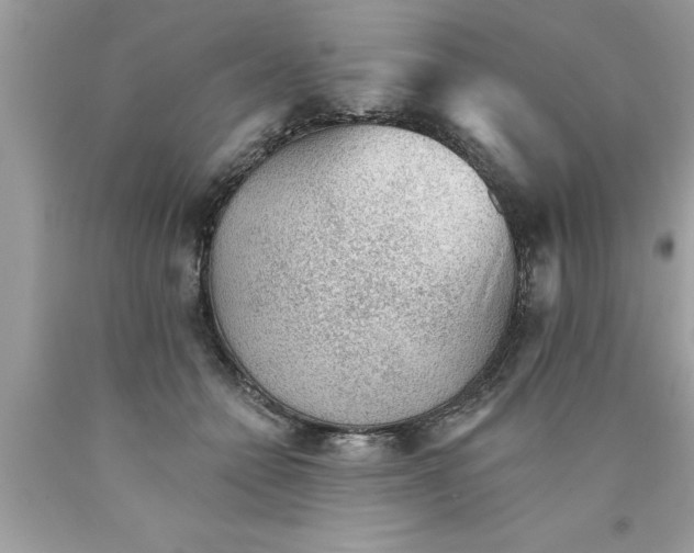 X0000089860558200707262130