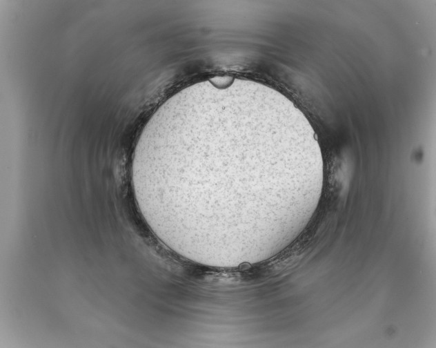 X0000089860559200707262130