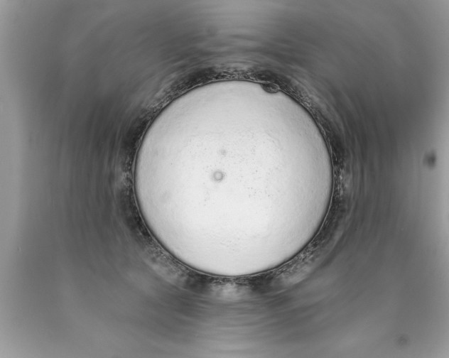 X0000089860561200707262130