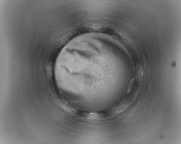 X0000089860562200707262130