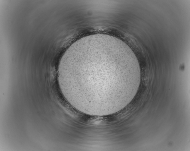 X0000089860563200707262130