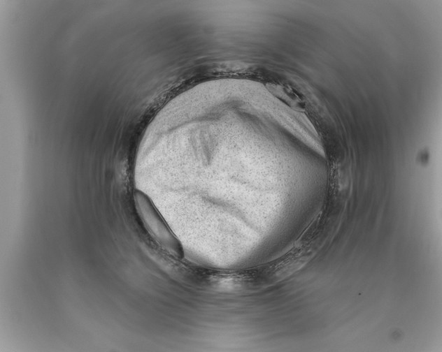 X0000089860564200707262130