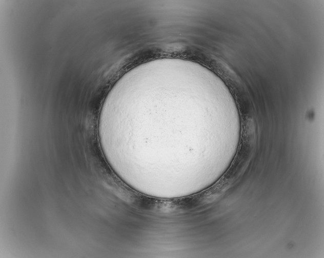 X0000089860565200707262130