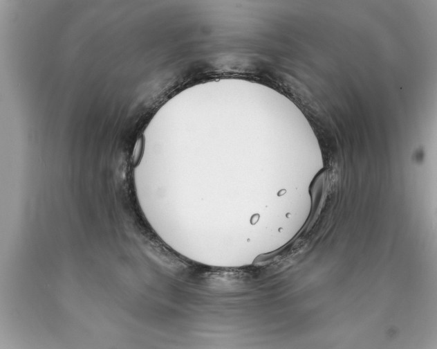 X0000089860567200707262130