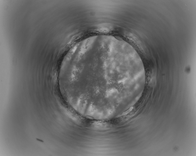 X0000089860568200707262130