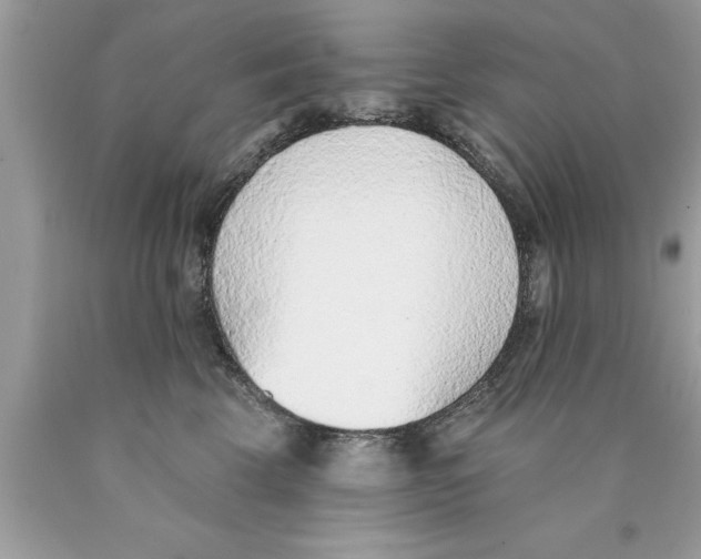 X0000089860569200707262130