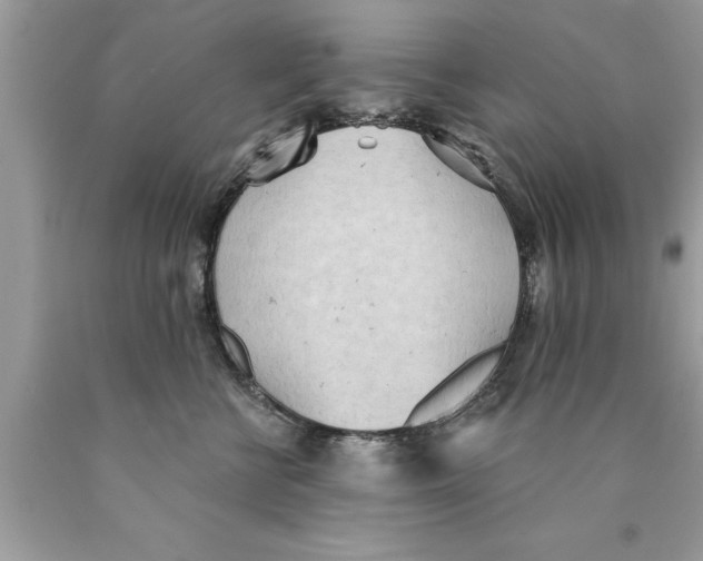 X0000089860570200707262130