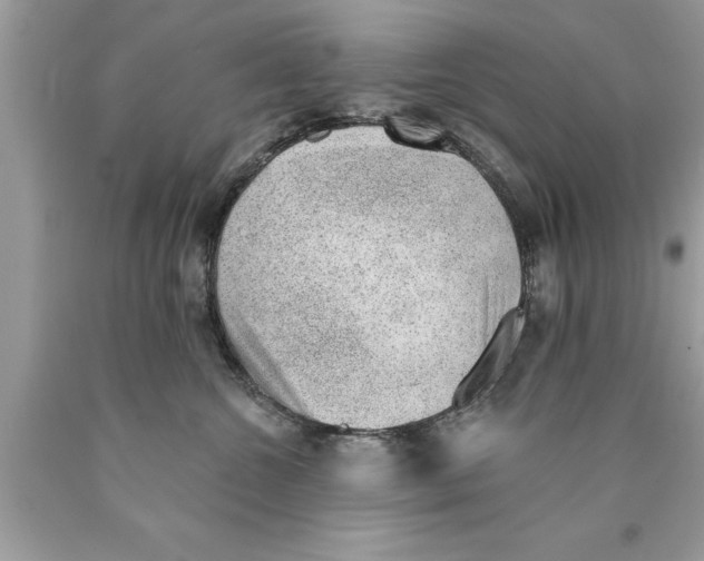 X0000089860572200707262130