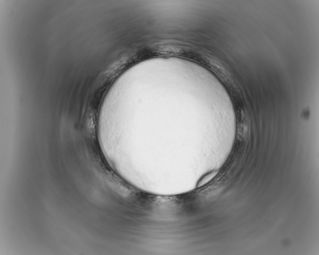 X0000089860573200707262130